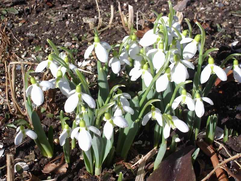 Våren är här - dags att byta hjul