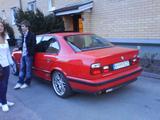 6 bilder