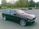 1 bilder