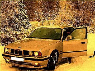 BMW 525 91 -91