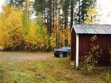 12 bilder