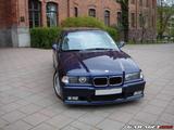 10 bilder