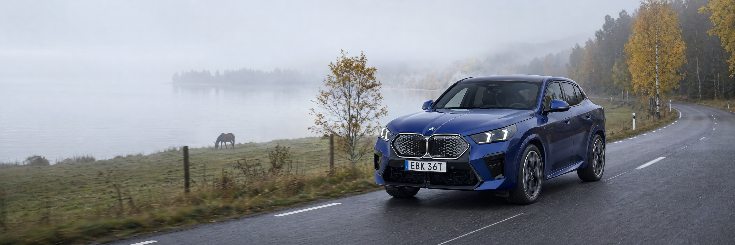 BMW X4 G02