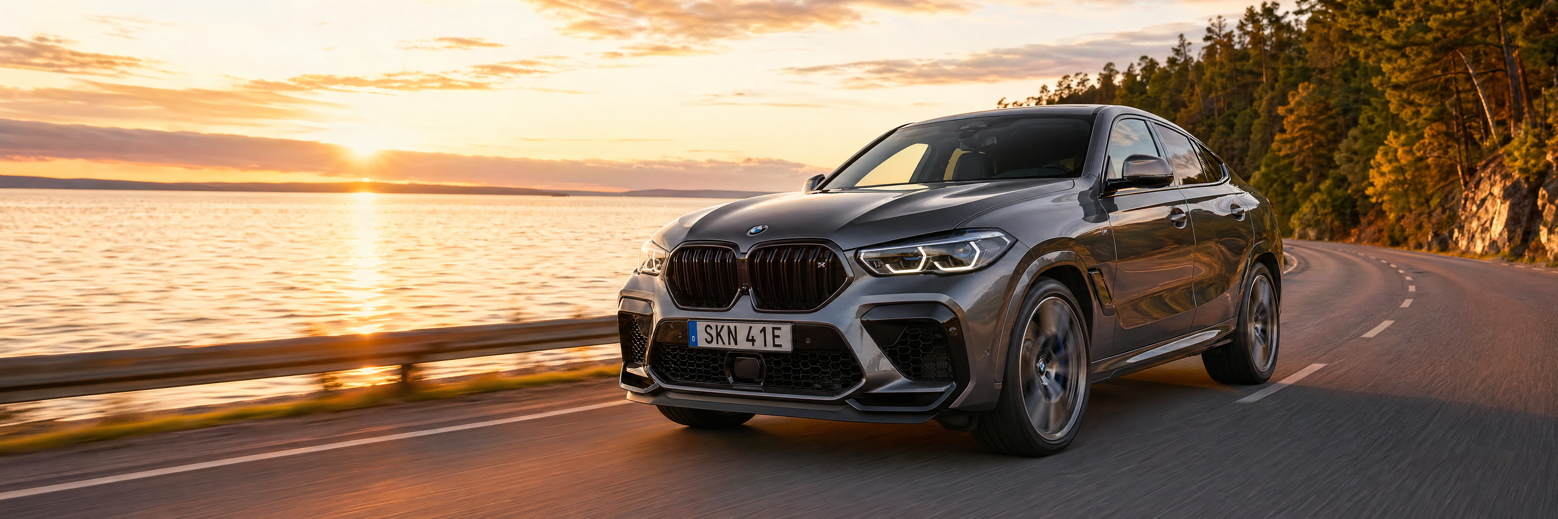 BMW X6 G06