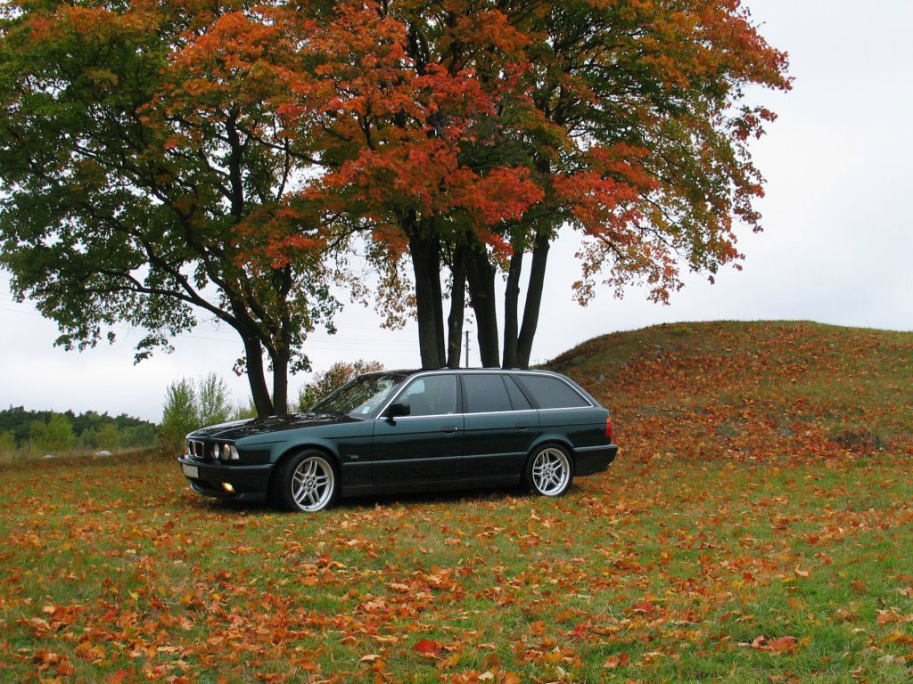 540i Touring ESS vs M5 Touring