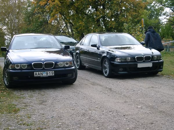 Bild 15